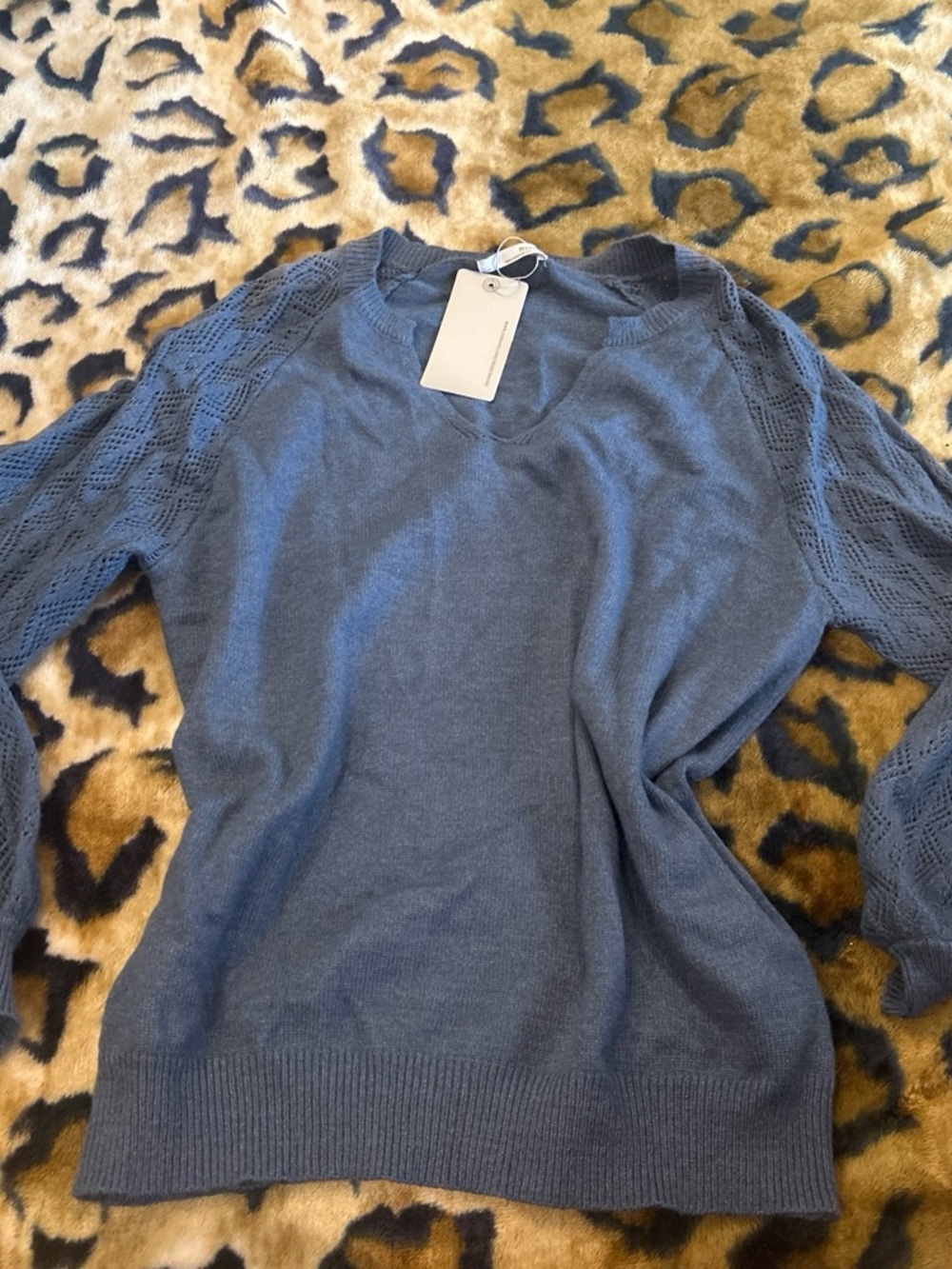 Women's Scoop-Neck Knit Sweater with Lace-Stitch Sleeves — Blue